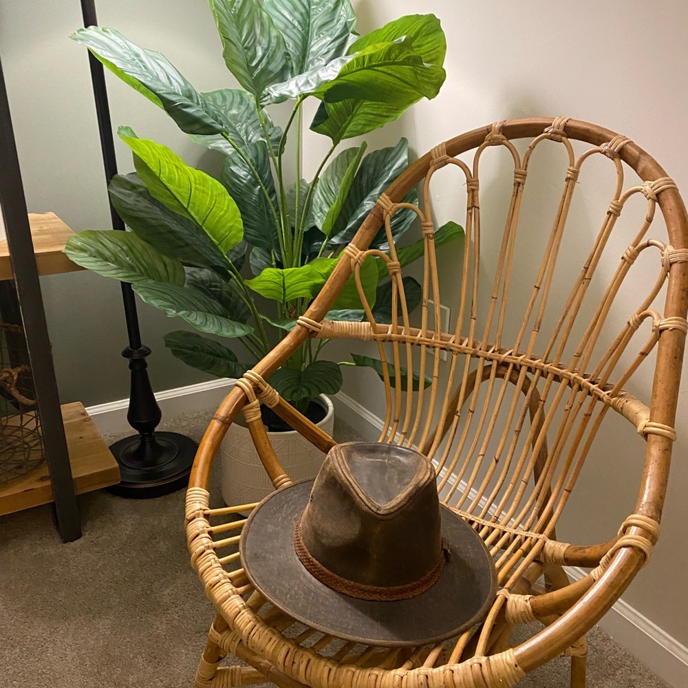 Stetson Hat (like new)